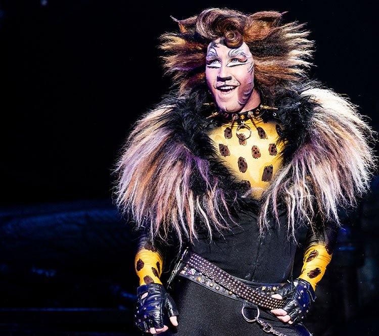 Cats  The John F. Kennedy Center for the Performing Arts